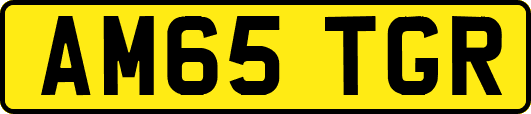 AM65TGR