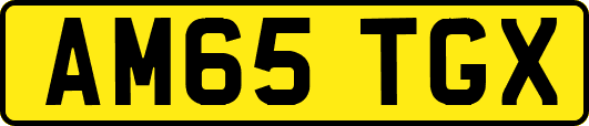 AM65TGX