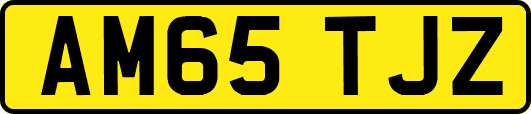 AM65TJZ