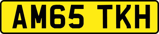 AM65TKH