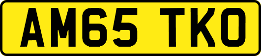 AM65TKO