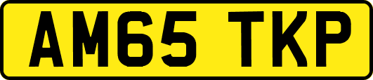 AM65TKP