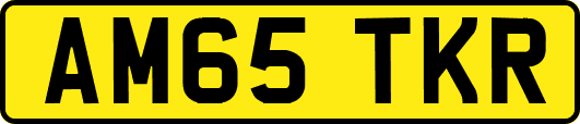 AM65TKR