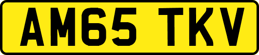 AM65TKV