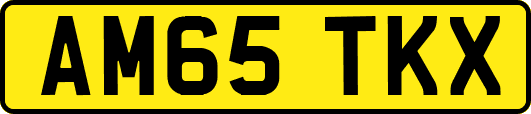 AM65TKX