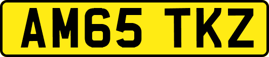 AM65TKZ