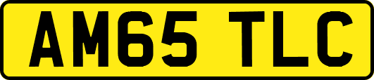 AM65TLC