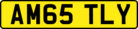 AM65TLY