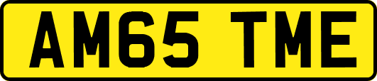 AM65TME
