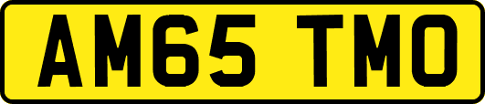 AM65TMO