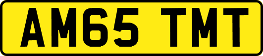 AM65TMT