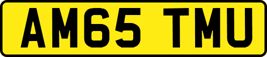 AM65TMU