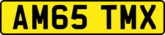 AM65TMX