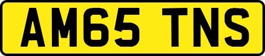 AM65TNS