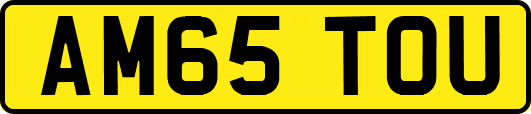 AM65TOU