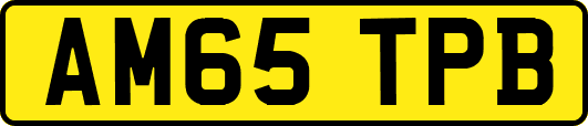 AM65TPB