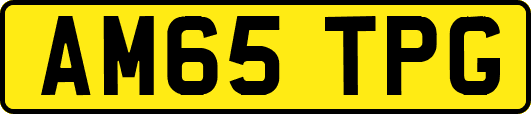 AM65TPG
