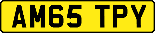 AM65TPY