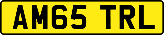 AM65TRL