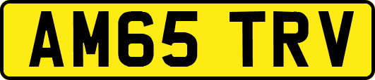 AM65TRV