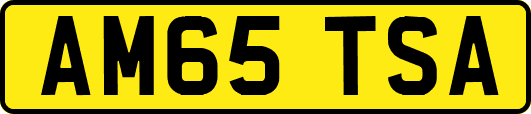 AM65TSA