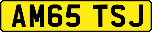 AM65TSJ