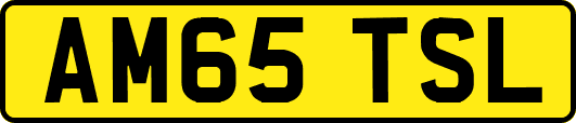 AM65TSL