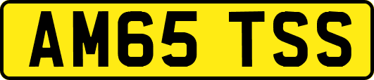 AM65TSS