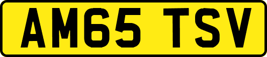 AM65TSV