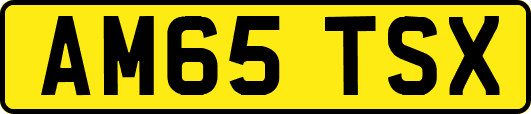 AM65TSX