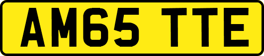 AM65TTE