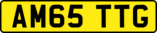 AM65TTG