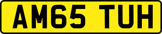 AM65TUH