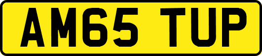 AM65TUP