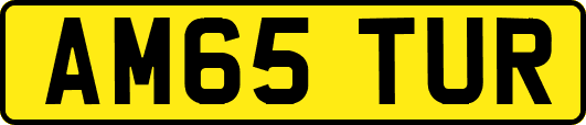 AM65TUR