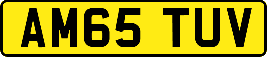 AM65TUV