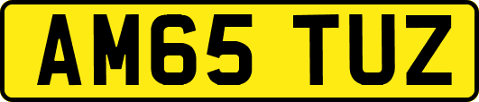 AM65TUZ