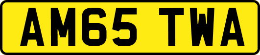 AM65TWA