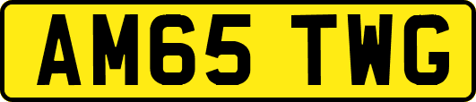 AM65TWG