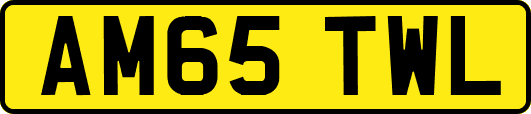 AM65TWL