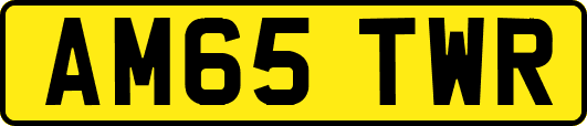 AM65TWR