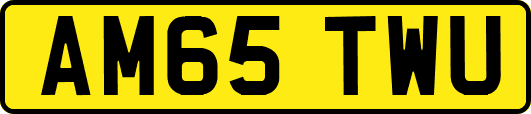 AM65TWU
