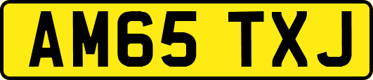 AM65TXJ