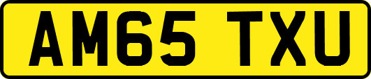 AM65TXU