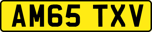 AM65TXV