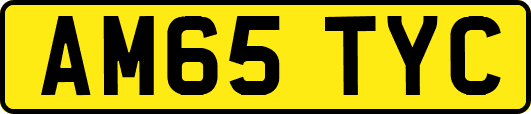 AM65TYC
