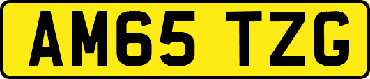 AM65TZG