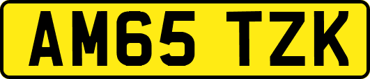AM65TZK