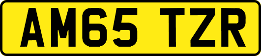 AM65TZR