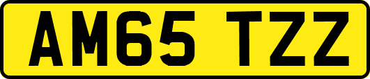 AM65TZZ